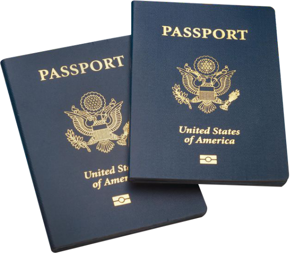 Vecs-visa